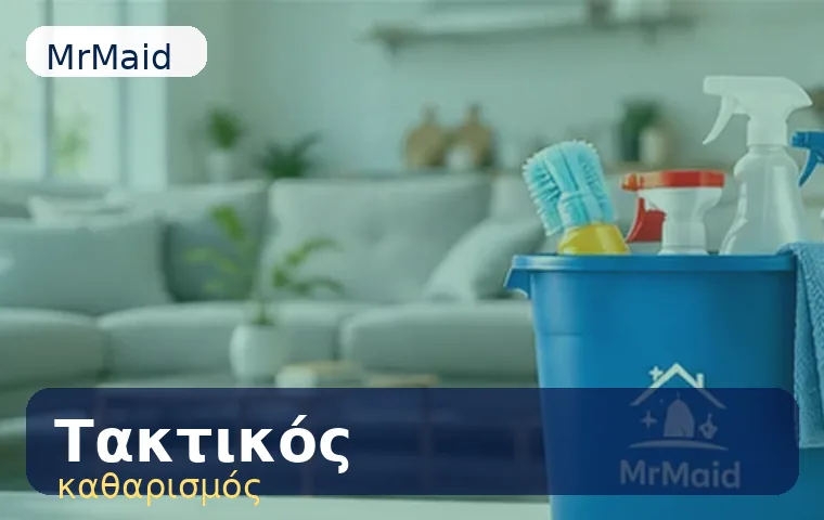 Τακτικός καθαρισμός σπιτιού Παραλιακή / Athens Riviera τιμές και κόστος MrMaid